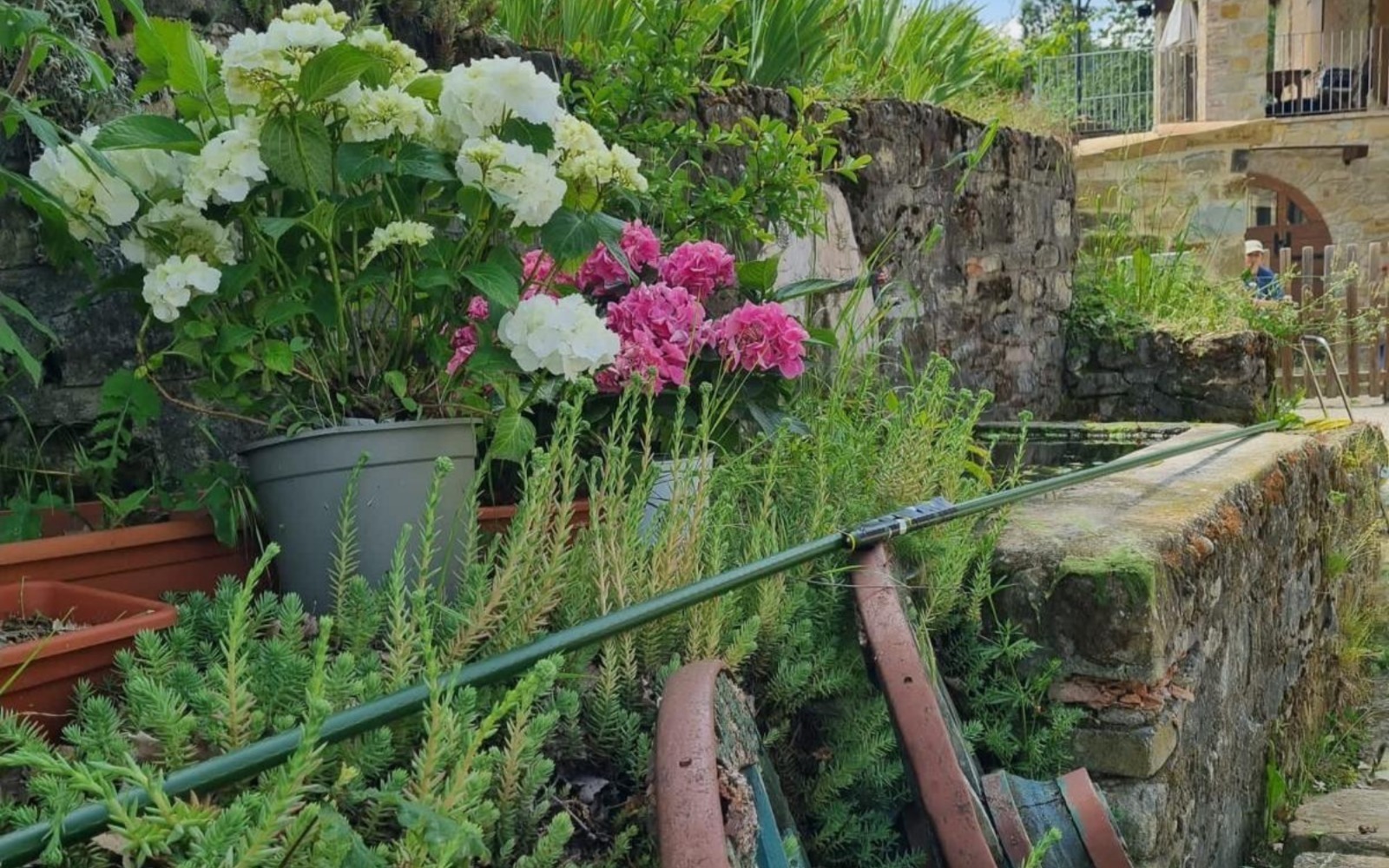 La nostra storia in una saga familiare