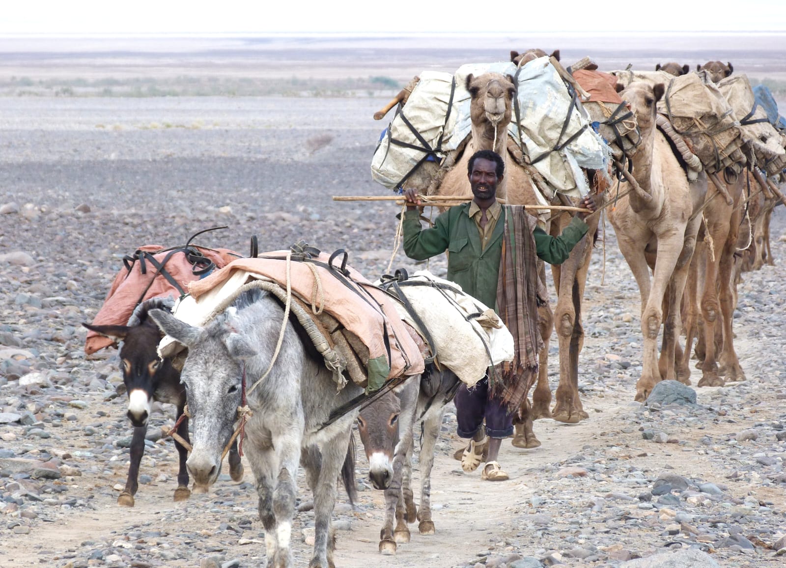 Le paure dei carovanieri del sale