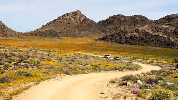 Sudafrica, un giardino nel deserto