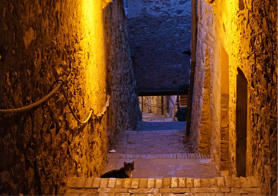 Il gatto al cinema, a teatro, nei fumetti